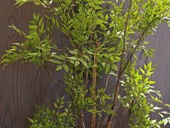 -苏淮景·苏闽融创菜·海鲜(原空港井河轩店)