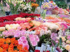 -朝来春花卉市场