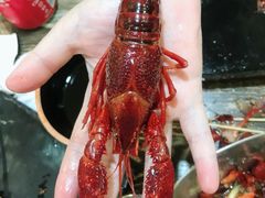 -赤甲皇(仙霞路店)