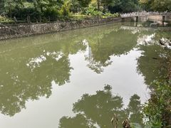 -晓港公园