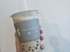 -一树一叶·福建茶档(石鼓路店)