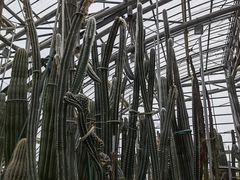 -南山植物园