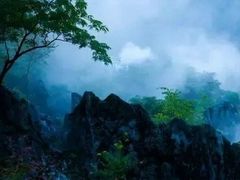 -千岛湖石林
