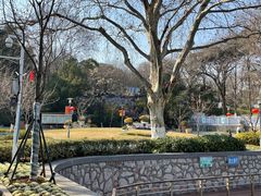 -太子山公园(园东路)