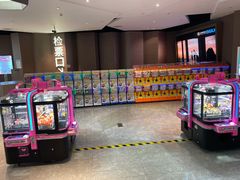 -星河寰宇IMAX影城(星河WORLD·COCO Park店)