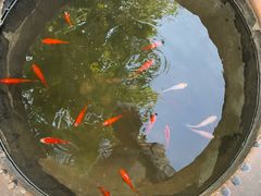 -正阳书局(西四南大街店)