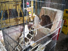 -后海16号·北京私房菜