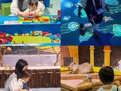-顺德南宏海立方海洋公园
