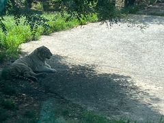 -大连森林动物园