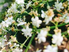 畅观楼-北京动物园-畅观楼