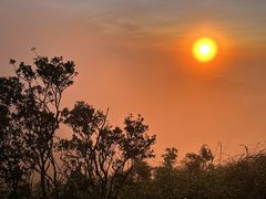 -梧桐山风景名胜区