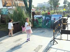 -田园东方蜜桃村的田野营地