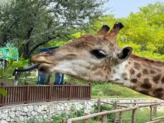 -北京野生动物园