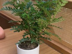 -CURRY YA 熟成咖哩專門店(深圳湾万象城店)