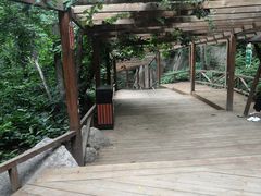 -大岭沟猕猴桃谷风景区