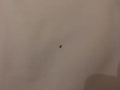 -路客HOTELS酒店(广州东站林和西地铁站店)