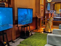 -大江户·温泉洗浴(浑南店)