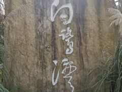 -白鹭湾湿地公园