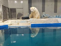 -大连圣亚海洋世界