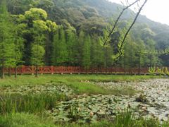 -广州市石门国家森林公园