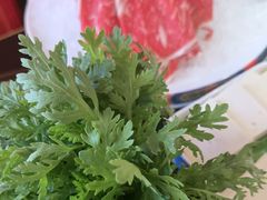 -京悦南门涮羊肉·羊蝎子火锅(田林路店)