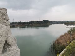 -西京湾花海
