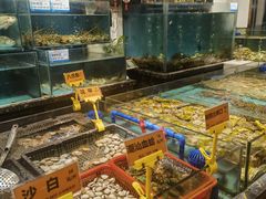-潮粤香海鲜酒楼(沙湖店)