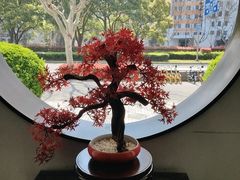 -麦舍MaiMassage(张杨路店)