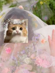 -雅云婚纱摄影工作室旗舰店