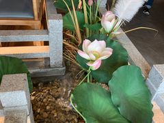 -荷塘秋月·本帮江浙菜(国权路店)