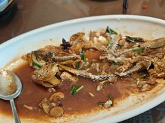 -福来齐·鲁菜海鲜·渔家菜(朝阳街分店)