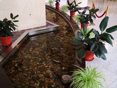 -中共上海市委党校 上海行政学院