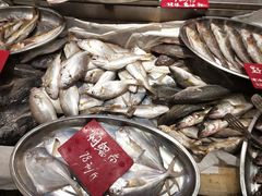 -旺角小渔村(幸福中路店)