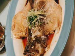 -峨嵋酒家(牡丹园店)