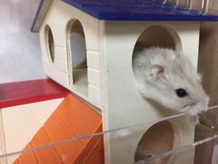 -龙猫仔乐园(惠福东路店)