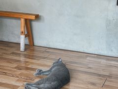 -In Cafe隐食研室