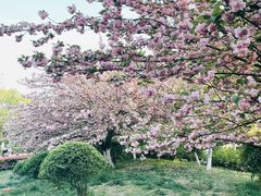 -天鹅湖体育公园