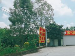 -满記土窑烧鷄波浪山莊