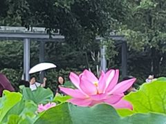 -沐仙湖湿地公园