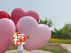 -东郊湿地公园