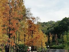 -云溪植物园