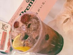 野莓果柠檬喵气泡-喵匠猫主题咖啡(凯德和平广场店)