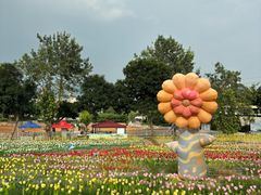 -光明农场大观园