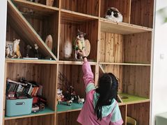-猫在这儿猫咪咖啡馆·撸猫馆
