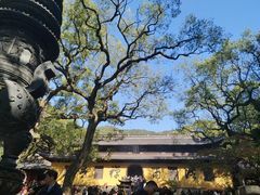 -普陀山风景名胜区-法雨禅寺