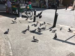 -多春茶室