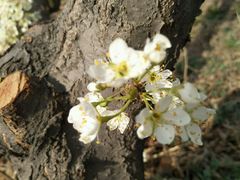 -意大利农场度假村