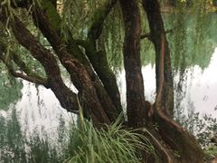 -贵阳市花溪国家城市湿地公园