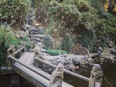 -秋霞圃