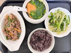 -田螺阿姨自营月嫂·育儿嫂(高新店)